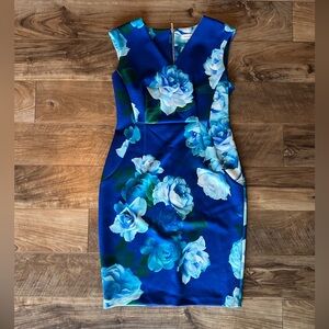 Calvin Klein Floral Blue Sleeveless Dress